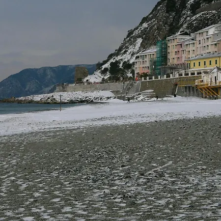 Lido