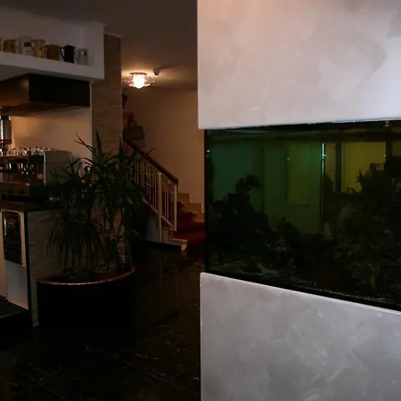 Lido Hotel 4*